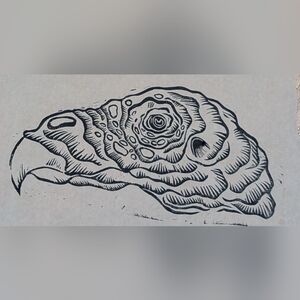Turkey Vulture Print